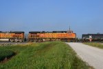 BNSF 5361 Roster shot